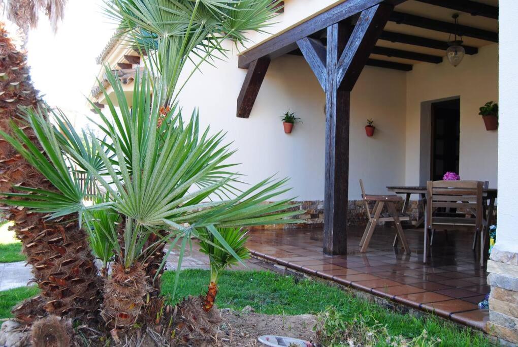 Villa Romina Piscina Privada Чиклана-де-ла-Фронтера Экстерьер фото